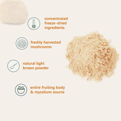 Organic Lion Bristle Mushroom Powder